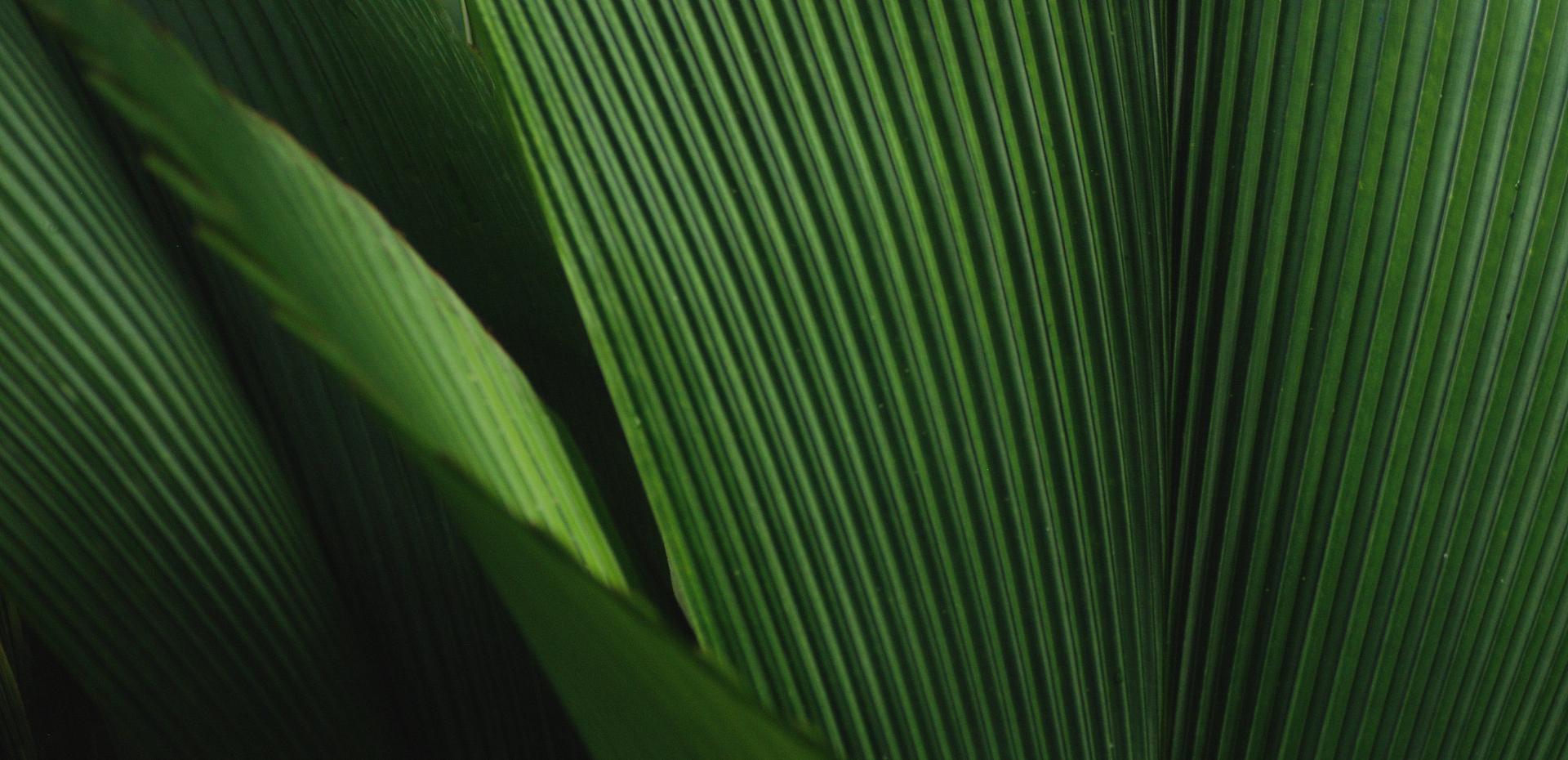 Localización de Harmony House