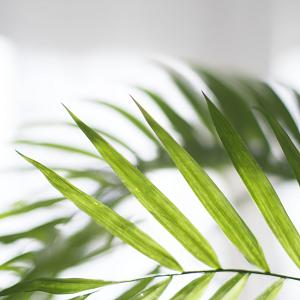 Política de privacidad de Harmony House