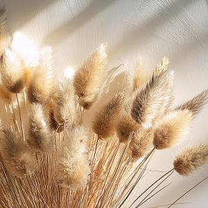 Términos legales de Harmony House